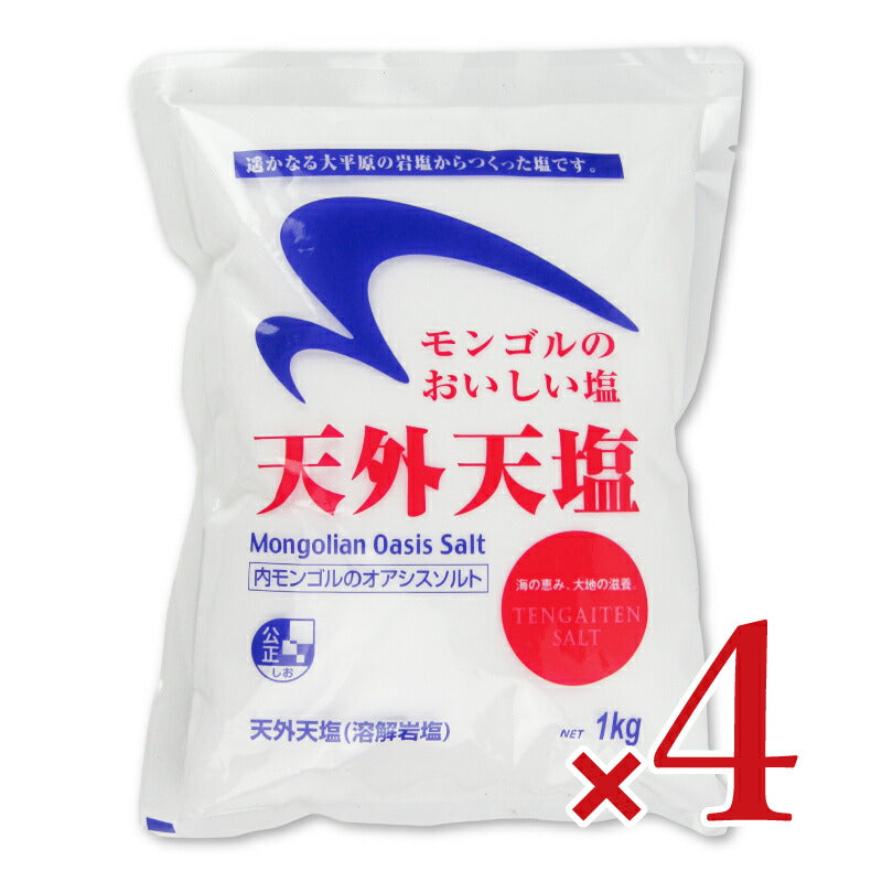 木曽路物産天外天塩1kg