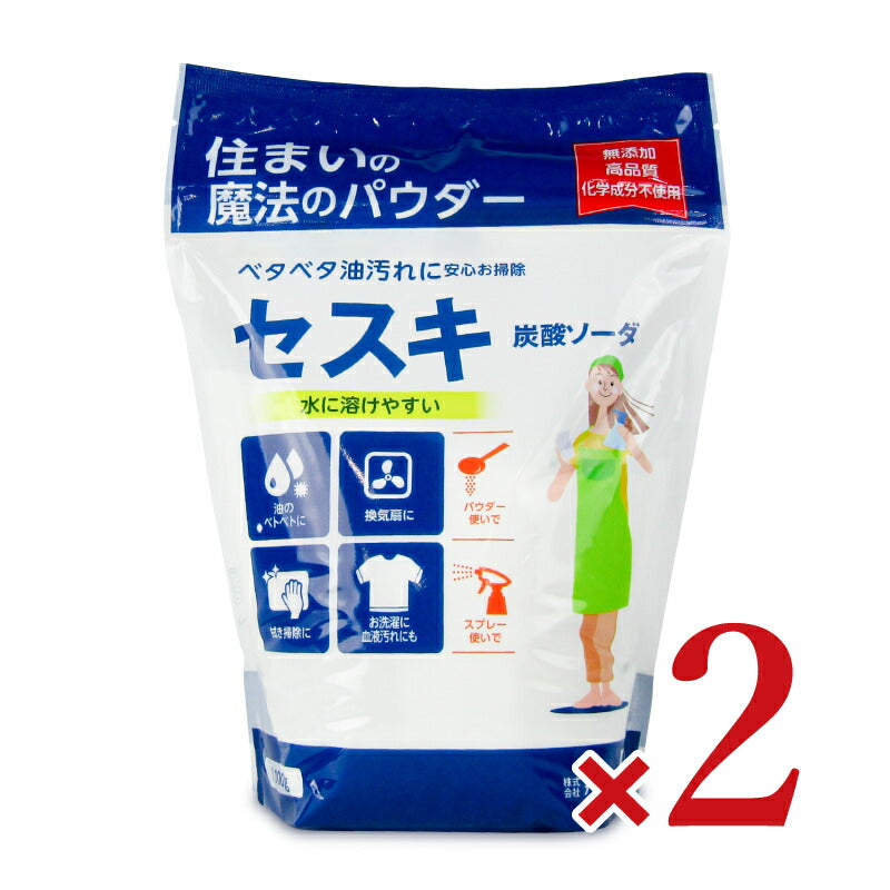 【マラソン限定!最大2000円OFFクーポン配布中】【ミライスタイル】丹羽久住まいの魔法のパウダーセスキ炭酸ソーダ1kg