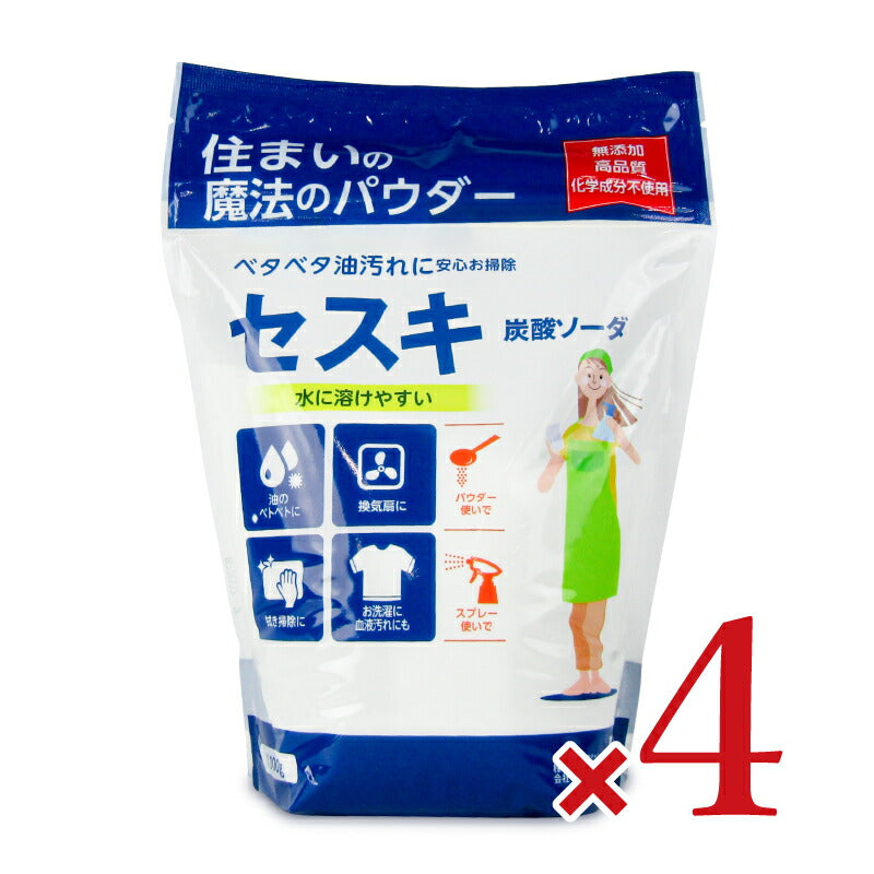 【マラソン限定!最大2000円OFFクーポン配布中】【ミライスタイル】丹羽久住まいの魔法のパウダーセスキ炭酸ソーダ1kg