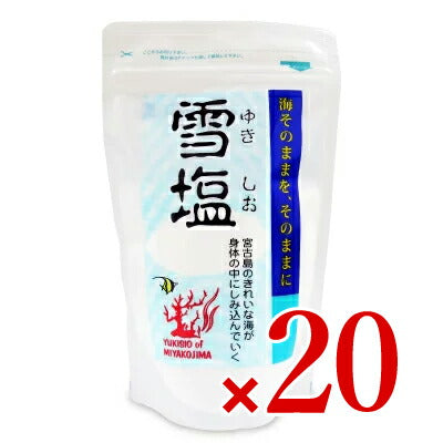 パラダイスプラン雪塩120g