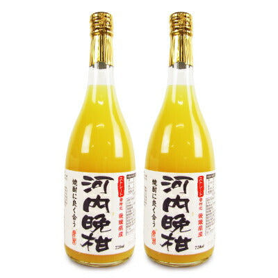 愛工房 河内晩柑ジュース 720ml