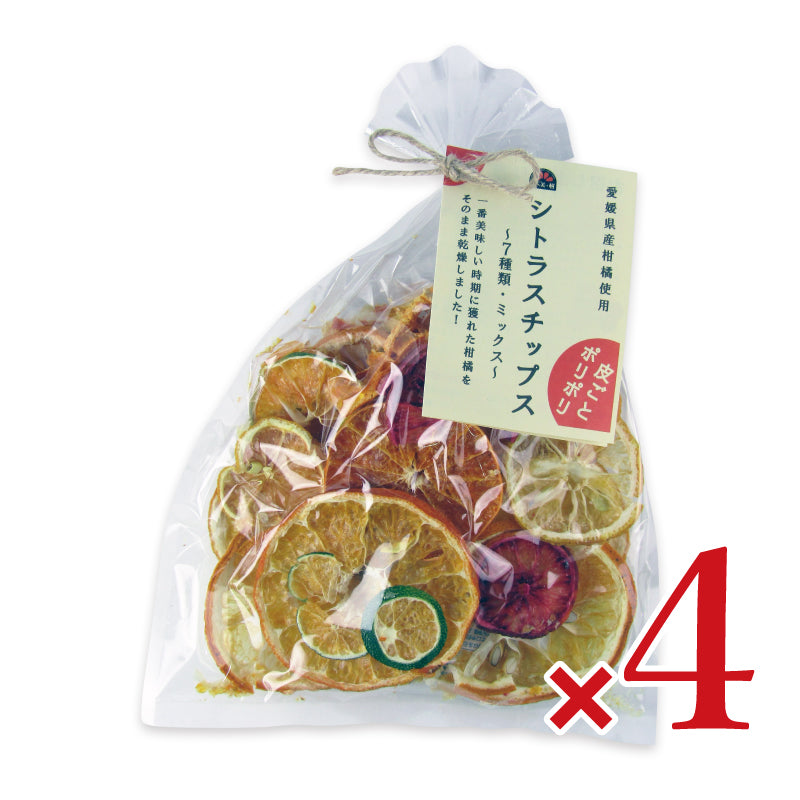 げんき本舗シトラスチップス50g×4袋