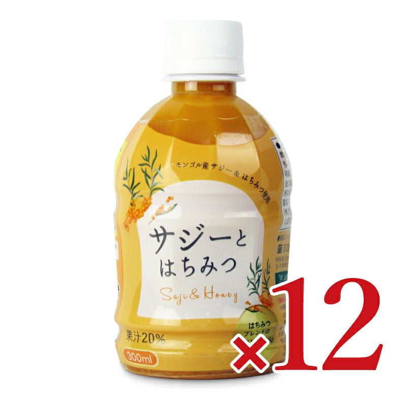 《送料無料》宝島サジーとはちみつ300ml×12本