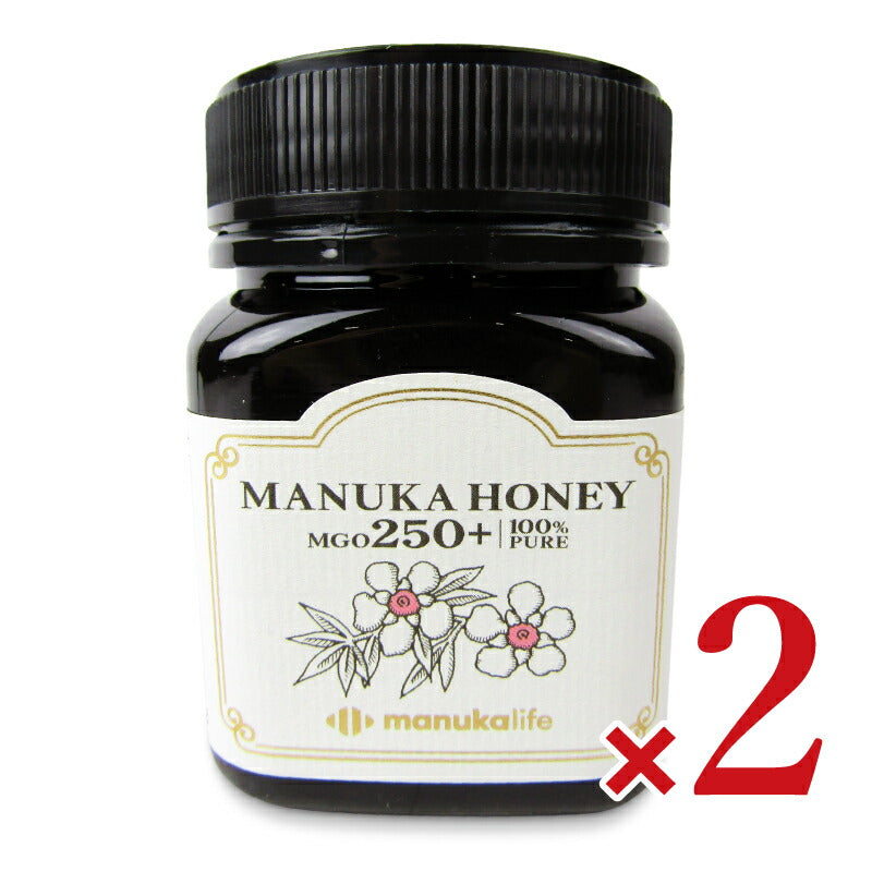 【マラソン限定!最大2000円OFFクーポン配布中!】《送料無料》マヌカライフマヌカハニーMGO250+250g×2個