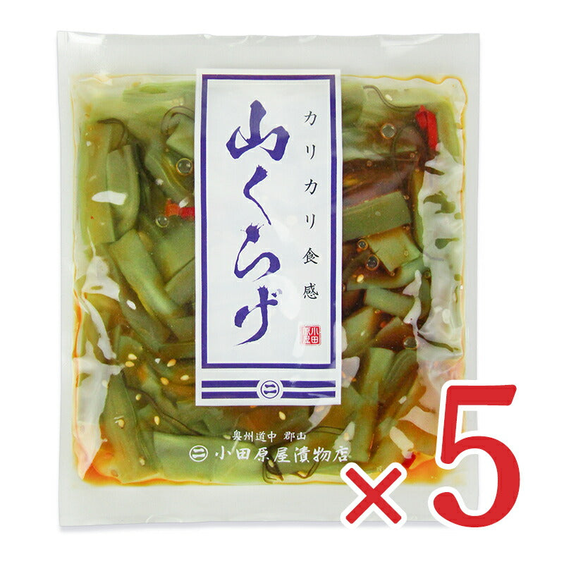 《メール便で送料無料》小田原屋山くらげ120g×5個