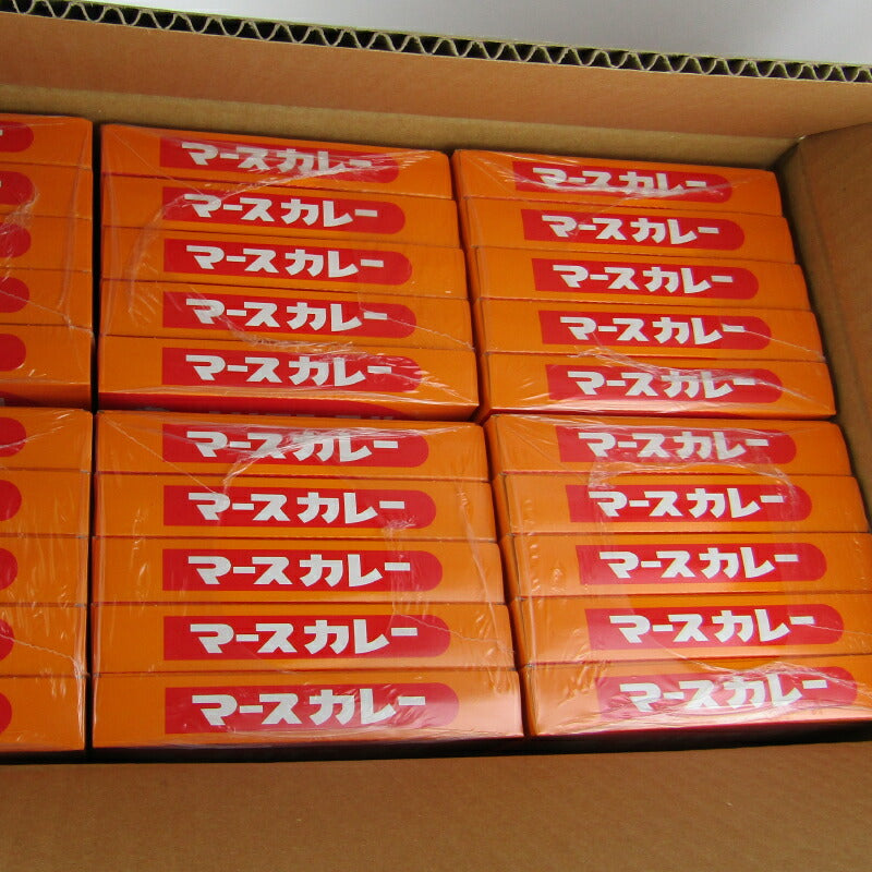 【マラソン限定!最大2200円OFFクーポン配布中!】【ミライスタイル】《ケース》オリエンタルマースカレーレトルト200g×30個セット