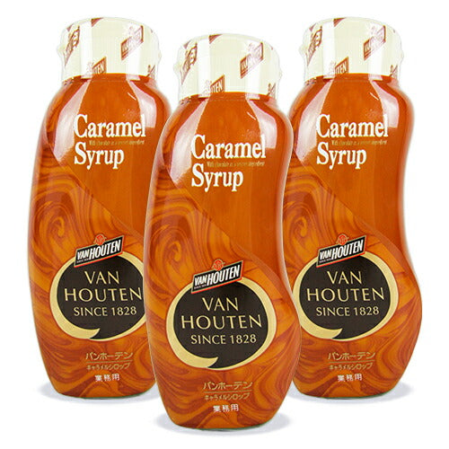 《送料無料》バンホーテンキャラメルシロップ630g×3本業務用片岡物産