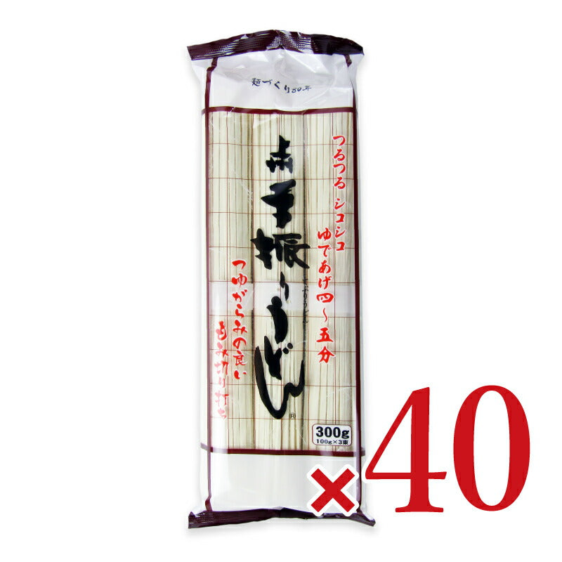 《送料無料》星野物産上州手振りうどん300g×20個×2箱ケース販売