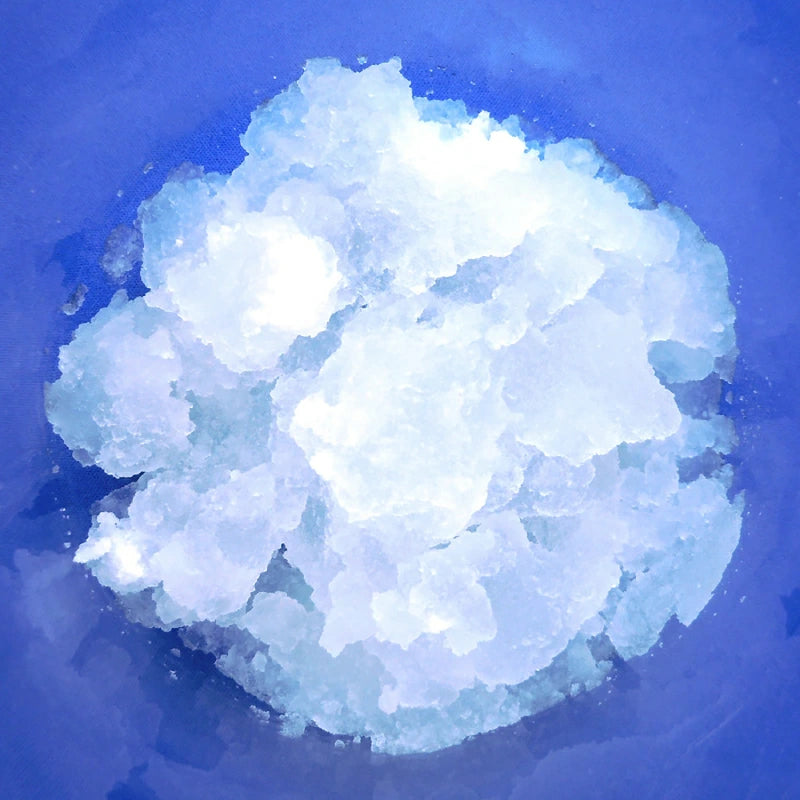 ケンユー 便利な凝固剤コアプルMS 9g×10個入