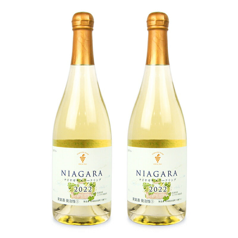 《送料無料》池田町ブドウ・ブドウ酒研究所十勝ワインナイアガラスパークリングワイン甘口750ml×2本