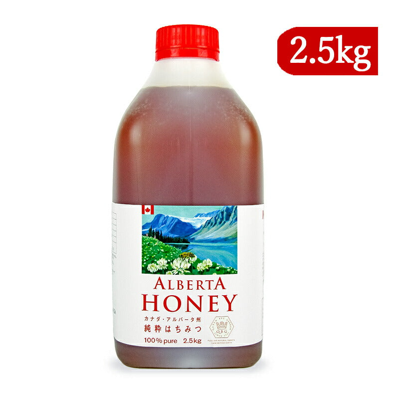 クインビーガーデン アルバータハニー 2.5kg 純粋はちみつ100