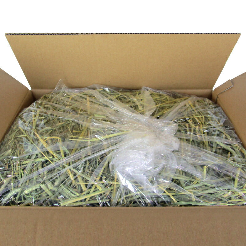 【マラソン限定!最大2,000円OFFクーポン配布中!】GEXジェックスおいしいチモシー2kg