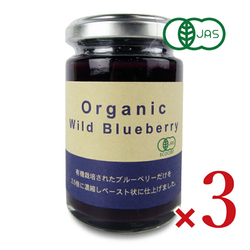 【マラソン限定!最大2160円OFFクーポン配布中!】デイリーフーズオーガニックワイルドブルーベリー145g×3本有機JAS
