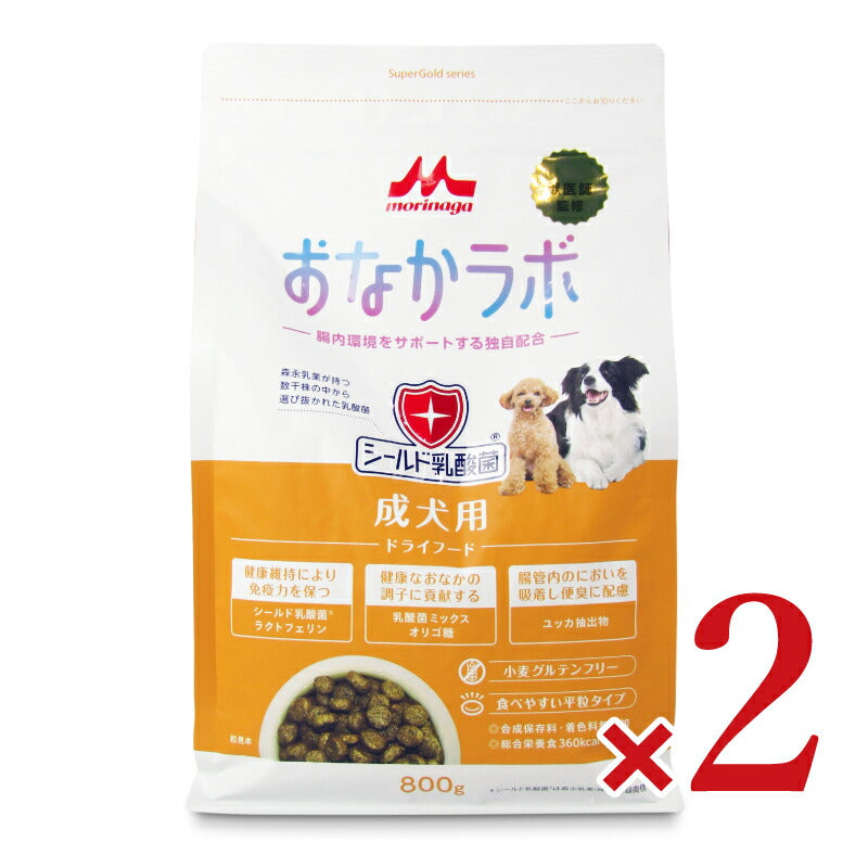 【月初め34時間限定!最大2000円OFFクーポン配布中!】森乳サンワールドスーパーゴールドおなかラボ成犬用800g×2個