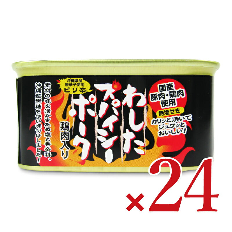 【スーパーSALEで使える!最大2000円OFFクーポン配布中!】《送料無料》わしたスパイシーポークJAPAN200g×12個×2箱ケース販売