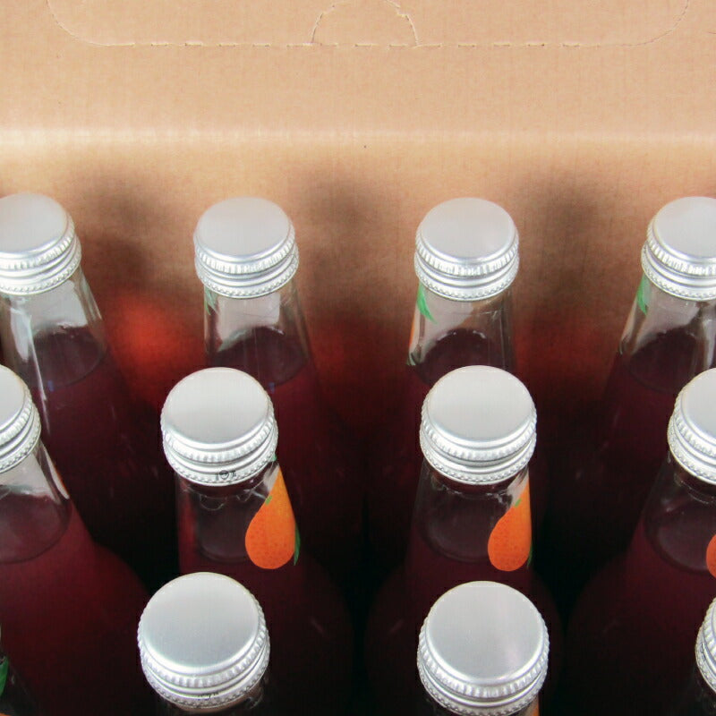 《送料無料》アルカンブルーイタリーブラッドオレンジソーダ355ml×12本ケース販売