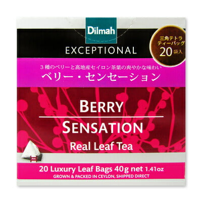 【マラソン限定!最大2000円OFFクーポン!】ワルツディルマ《エクセプショナル》ベリー・センセーション2g×20袋ティーバッグ