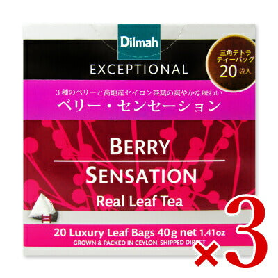 ワルツ ディルマ《エクセプショナル》ベリー・センセーション 2g×20袋 ティーバッグ