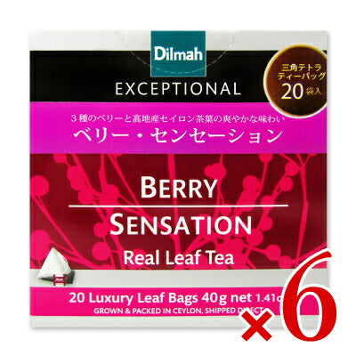 ワルツ ディルマ《エクセプショナル》ベリー・センセーション 2g×20袋 ティーバッグ