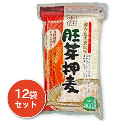 西田精麦 国産胚芽押麦 800g 【大麦 押し麦 胚芽押麦 国産 無添加 カネキヨ 麦ご飯に】
