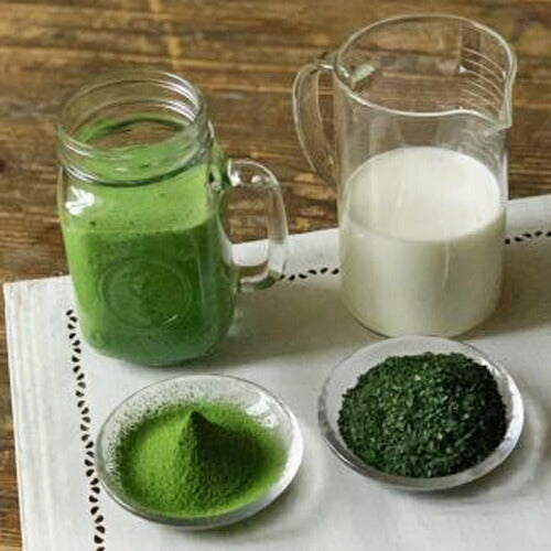 【スーパーSALE限定クーポン発行中!】《送料無料》丸安茶業抹茶プロテイン900g