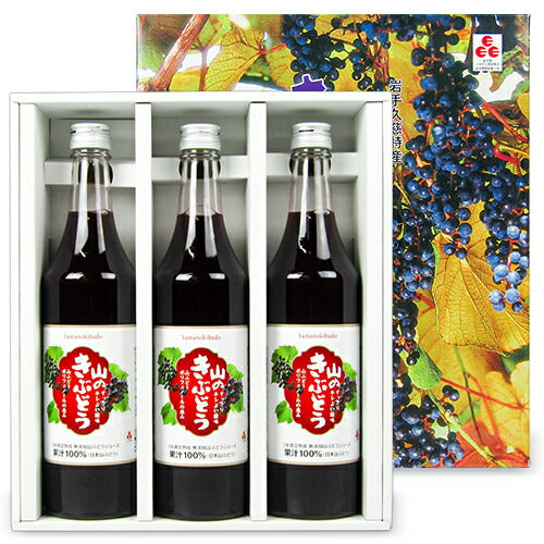 《送料無料》佐幸本店山のきぶどう600ml×3本セット