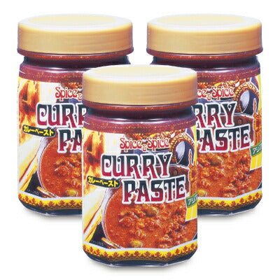 【最大2500円OFFクーポン配布中!大感謝祭】テーオー食品カレーペースト450g