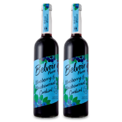 ユウキ食品 コーディアル ブルーベリー&ブラックカラント 500ml