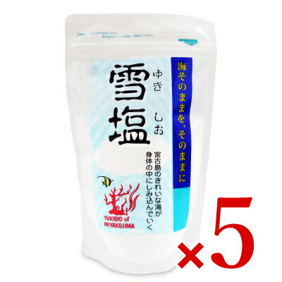 パラダイスプラン雪塩120g