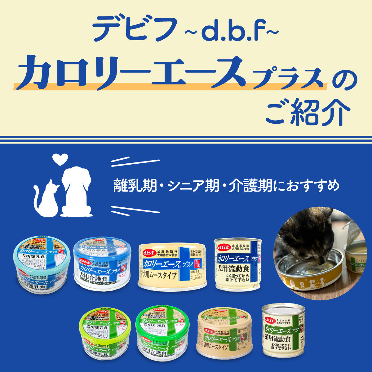 デビフ（d.b.f） カロリーエースプラスのご紹介