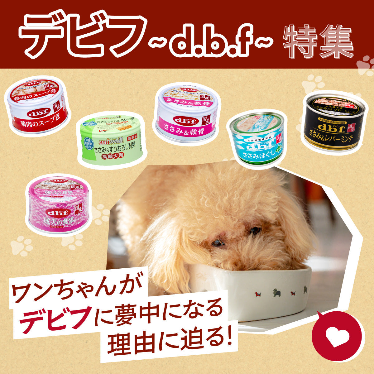 デビフ（d.b.f）特集：ワンちゃんが「デビフ」に夢中になる理由に迫る