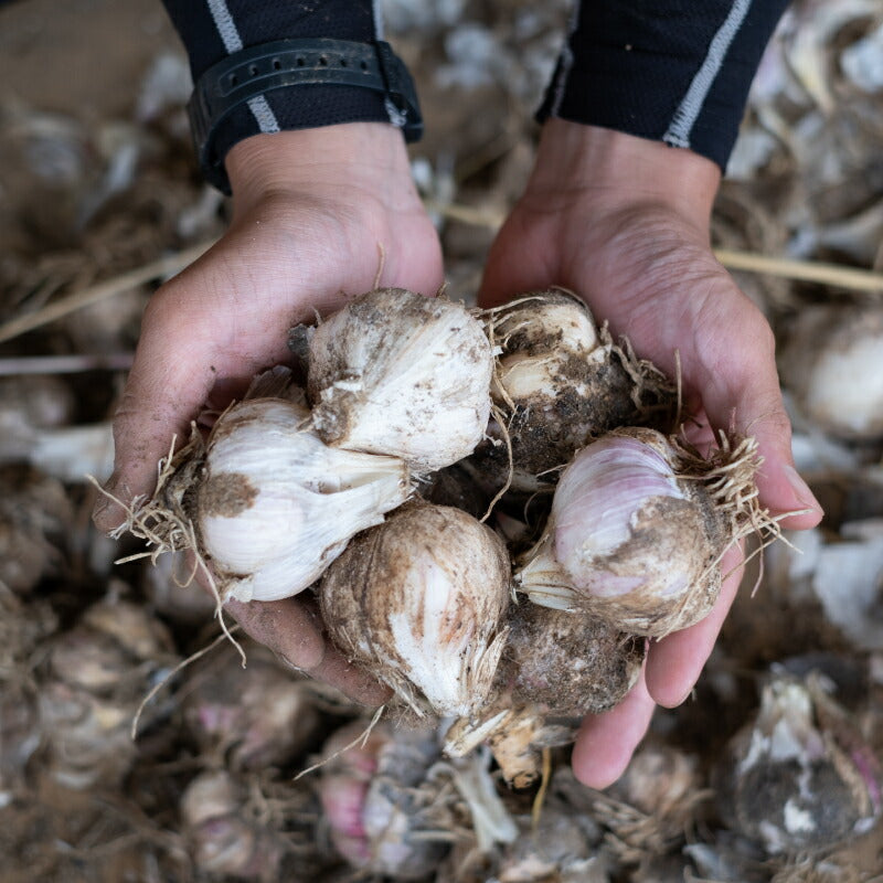 無茶々園有機にんにくチップ20g有機JAS