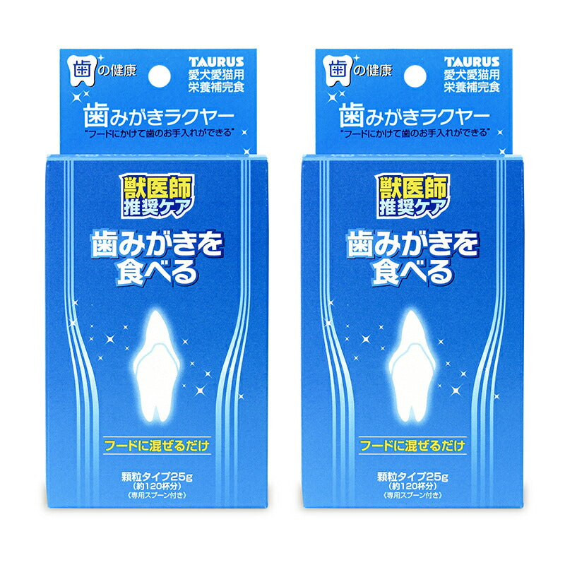 《送料無料》トーラス歯磨きラクヤー25g×2箱デンタルケア