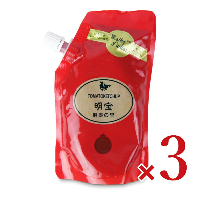 【ブラックフライデー限定!最大2000円OFFクーポン配布中!】明宝レディース明宝トマトケチャップ・スタンドタイプ200g×3個