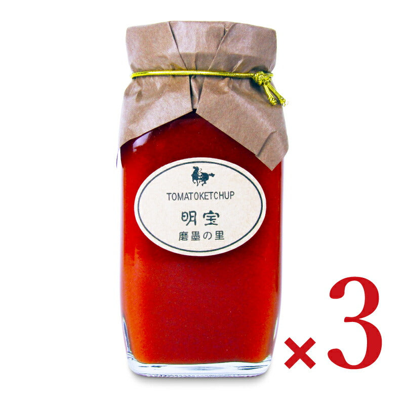 【ブラックフライデー限定!最大2000円OFFクーポン配布中!】明宝レディース明宝トマトケチャップ280g×3個