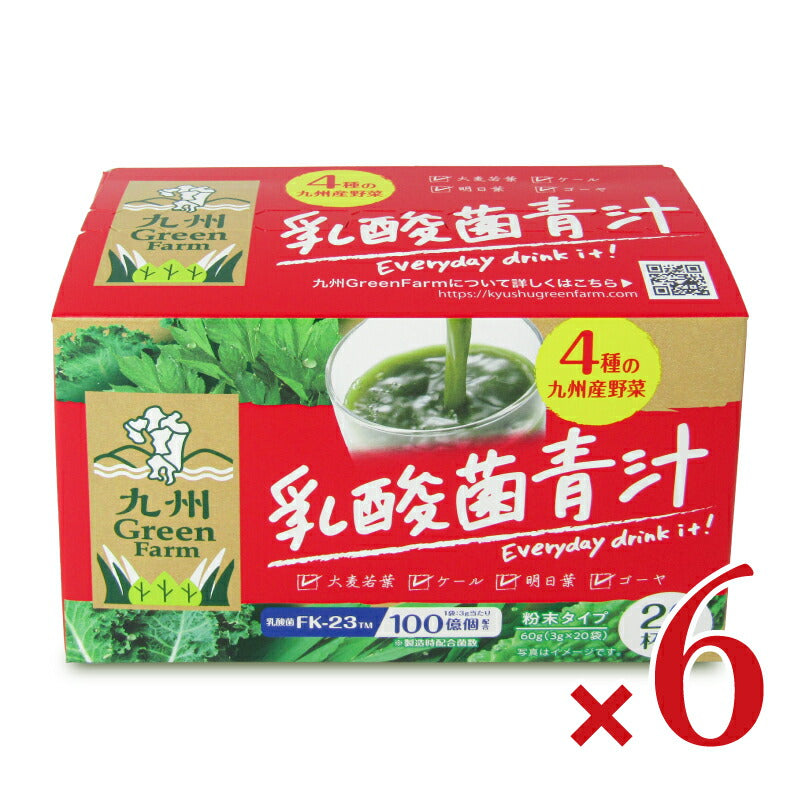 【マラソン限定!最大2200円OFFクーポン配布中!】新日配薬品乳酸菌青汁3g×20