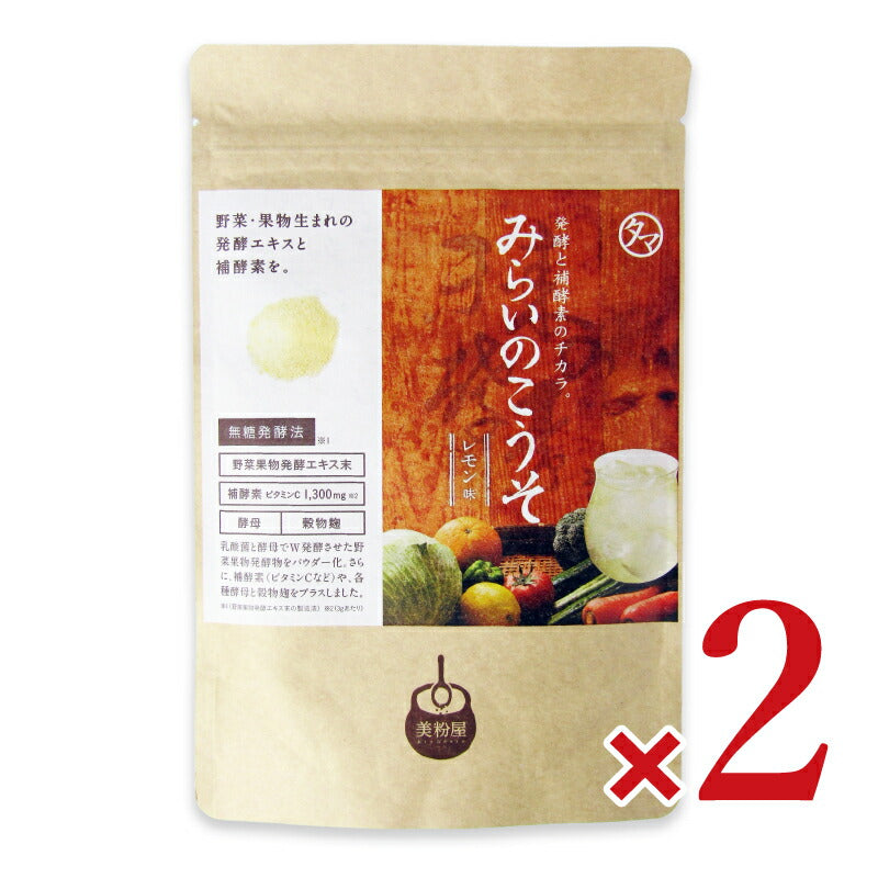 【マラソン限定!最大2000円OFFクーポン配布中!】九南サービスみらいのこうそレモン味100g