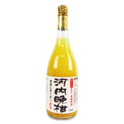 【マラソン限定!!最大2000円OFFクーポン配布中!!】愛工房河内晩柑ジュース720ml