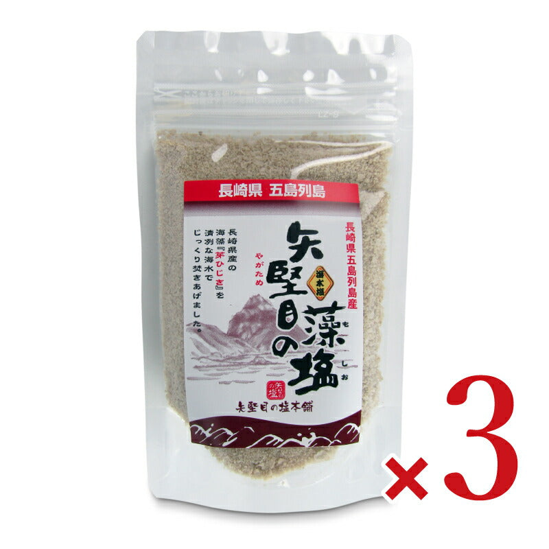 矢堅目の藻塩100g×3袋