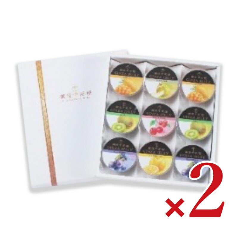 【GW限定！最大10%OFFクーポン配布中！】《送料無料》銀座千疋屋銀座ゼリー9個×2箱