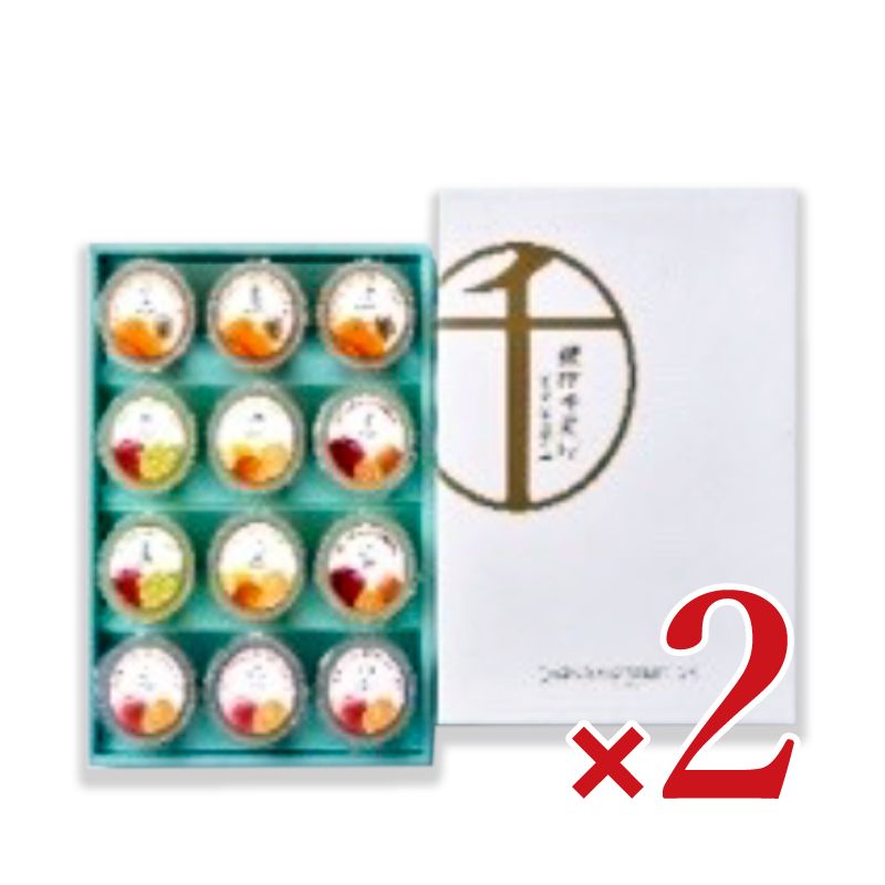 【GW限定！最大10%OFFクーポン配布中！】《送料無料》銀座千疋屋銀座フルーツジュレ12個入り