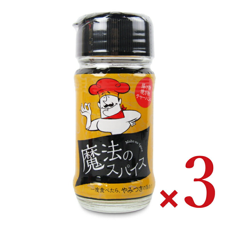 【月初め34時間限定!最大2000円OFFクーポン配布中!】魔法のスパイス40g×3個