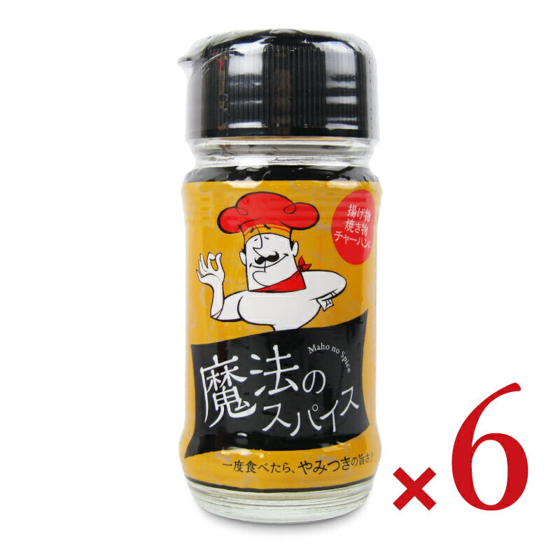 【月初め34時間限定!最大2000円OFFクーポン配布中!】《送料無料》魔法のスパイス40g×6個