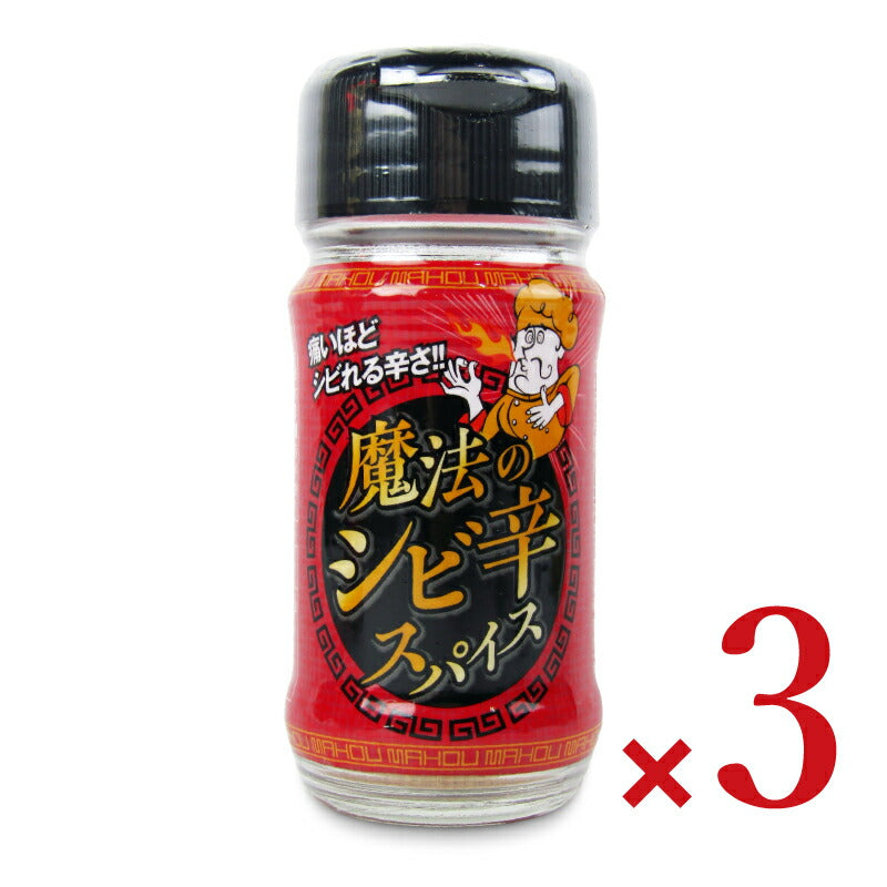 【月初め34時間限定!最大2000円OFFクーポン配布中!】魔法のシビ辛スパイス30g×3個