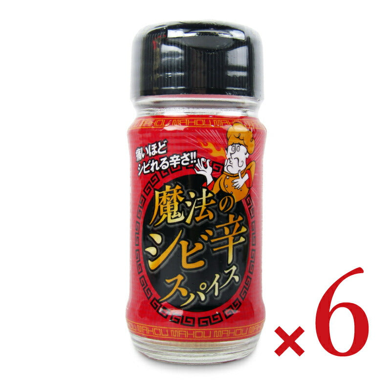 【月初め34時間限定!最大2000円OFFクーポン配布中!】《送料無料》魔法のシビ辛スパイス30g×6個