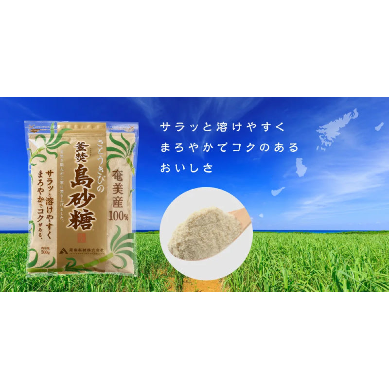 薩南製糖 島砂糖 500g 奄美産100％