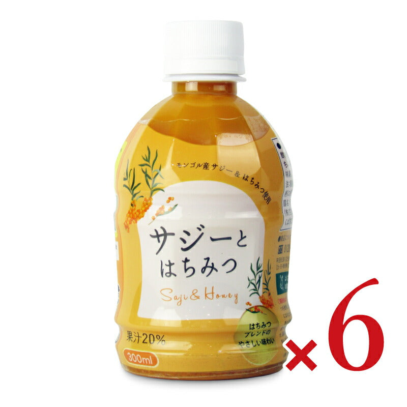 宝島サジーとはちみつ300ml×6本
