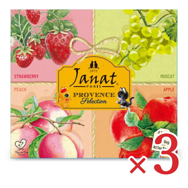 ジャンナッツ プロヴァンスシリーズ フルーツテイーアソート 2g×40P ［Janat］