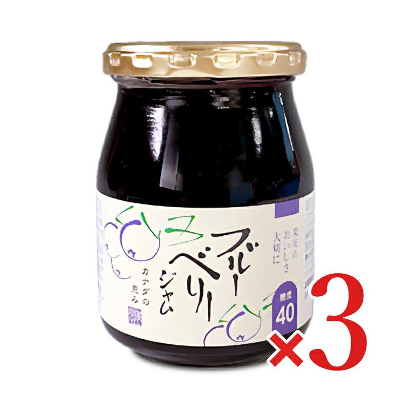 伊豆フェルメンテブルーベリージャム300g×3本【にっぽん津々浦々】