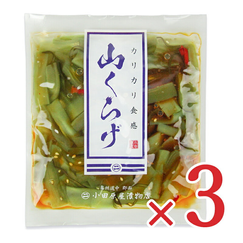 《メール便選択可》小田原屋山くらげ120g×3個